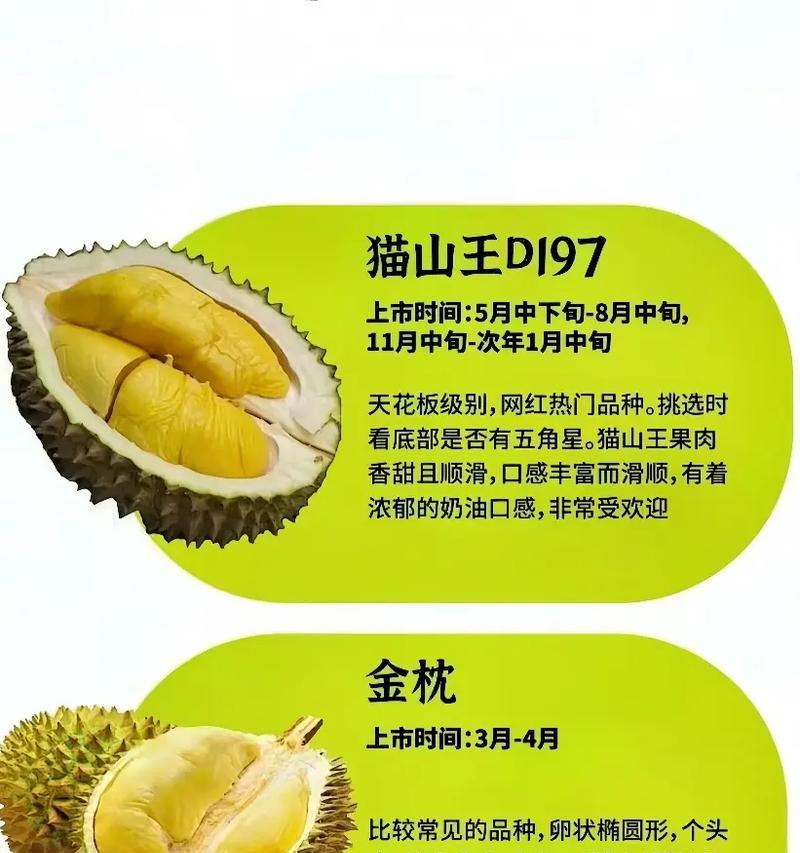 探秘榴莲品种（了解榴莲的多样性和特点，认识不同品种的香味和口感）
