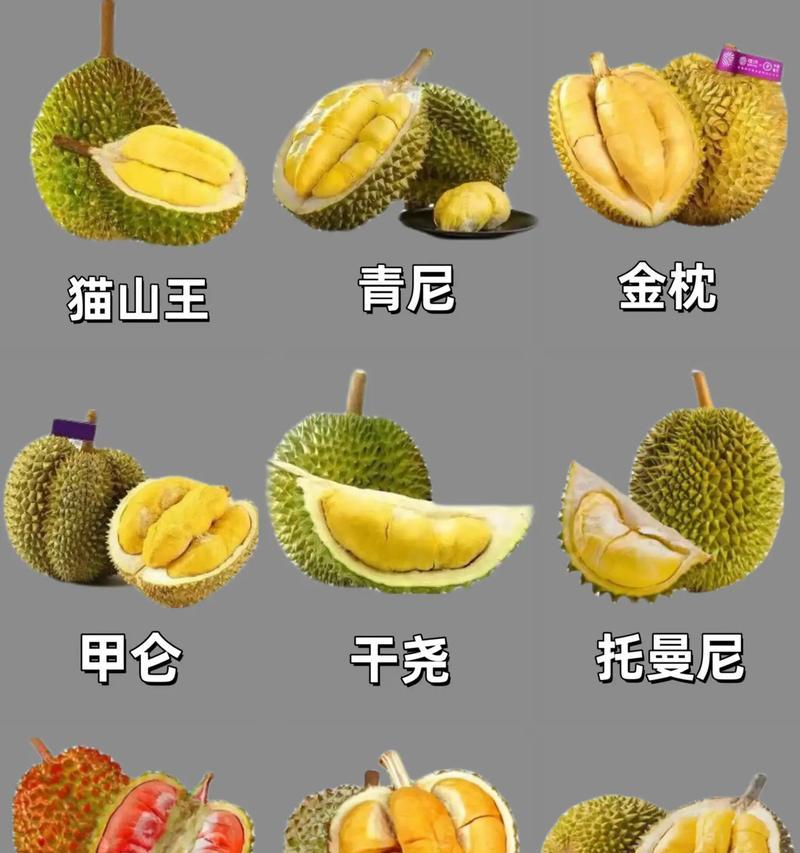 探秘榴莲品种（了解榴莲的多样性和特点，认识不同品种的香味和口感）