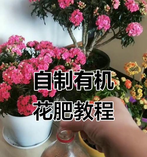探秘生鸡蛋作为花肥料的营养价值和使用方法（探秘生鸡蛋作为花肥料的营养价值和使用方法）