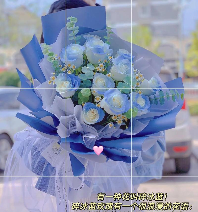 希望的花语——向日葵（阳光温暖你的心）