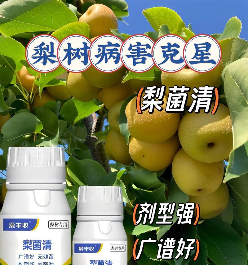 梨树黄叶病——病因与治疗方法（探究梨树黄叶病的成因及有效治疗方法）