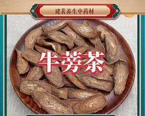 寻访牛蒡茶的故乡（探秘牛蒡茶的产地及历史渊源）