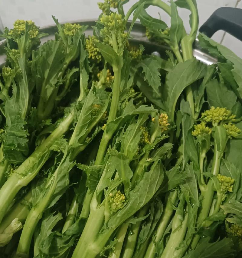 春天菜园有什么好种？（打造丰盈的春季蔬菜园）