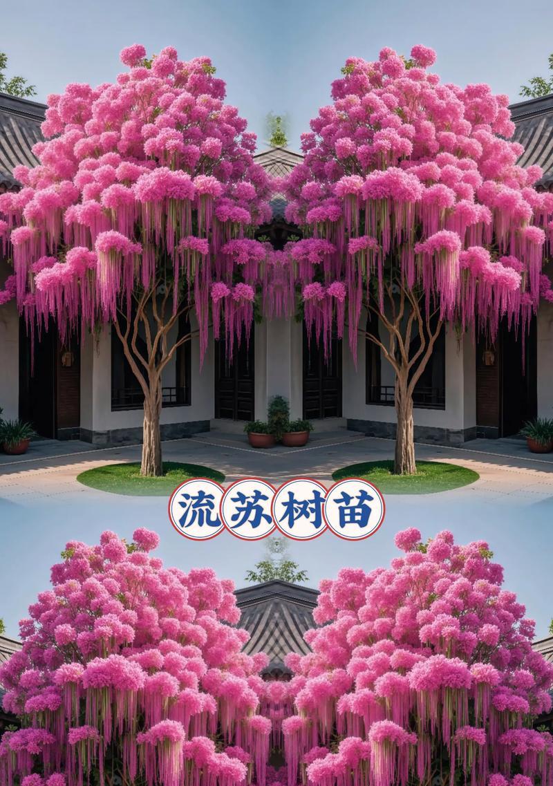 探索南方最适合种植的树种及其特点（探索南方最适合种植的树种及其特点）