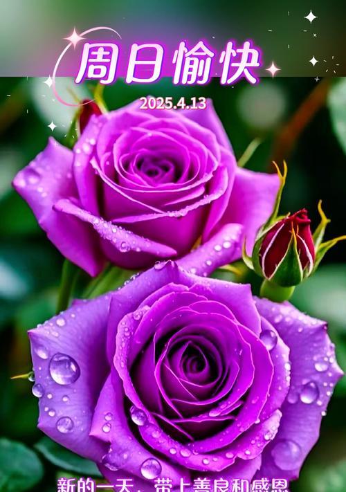 这些花能够传递温暖与善意（这些花能够传递温暖与善意）