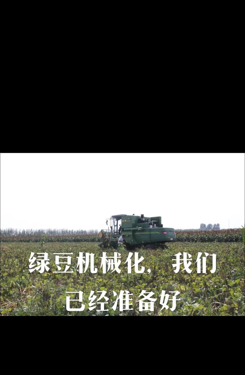 绿豆收获的最佳时间（了解绿豆生长周期，掌握最佳收获时间）