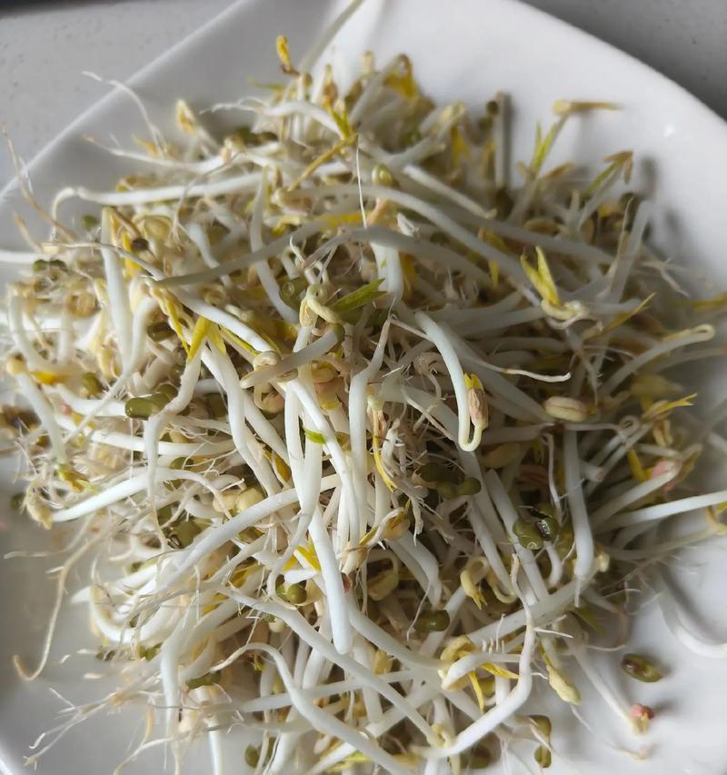 绿豆收获的最佳时间（了解绿豆生长周期，掌握最佳收获时间）