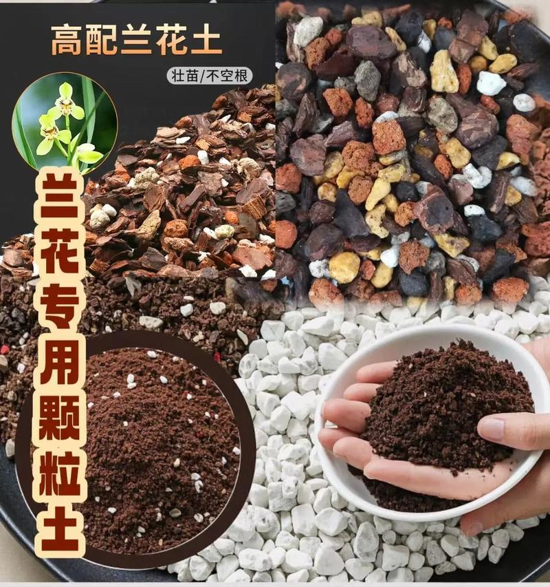 兰花土壤配制方法（打造适宜兰花生长的土壤，让兰花根深叶茂）