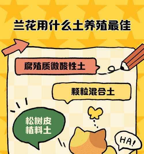 兰花土壤配制方法（打造适宜兰花生长的土壤，让兰花根深叶茂）