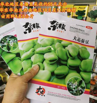 南方蚕豆的种植时间与技巧（掌握适宜的播种时间，打造丰收的蚕豆田）
