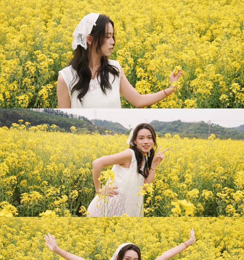 等你娶我——让爱情花开的花语（探寻令人神往的爱情之花——以什么花的花语为例）