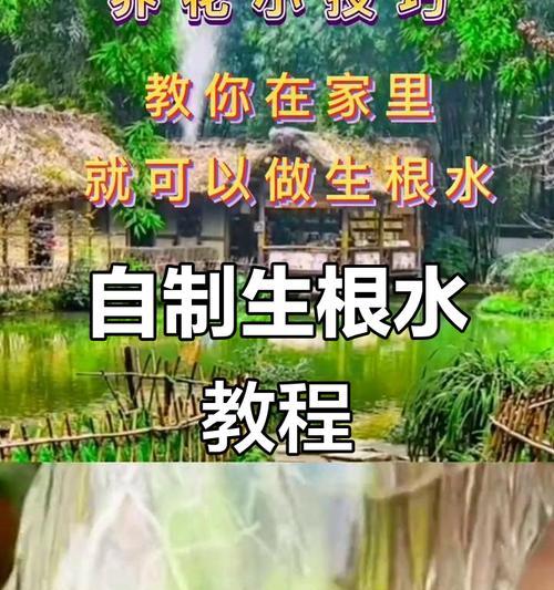 土豆水浇花，神奇的植物营养液（别浪费了，这些植物会非常感谢你！）