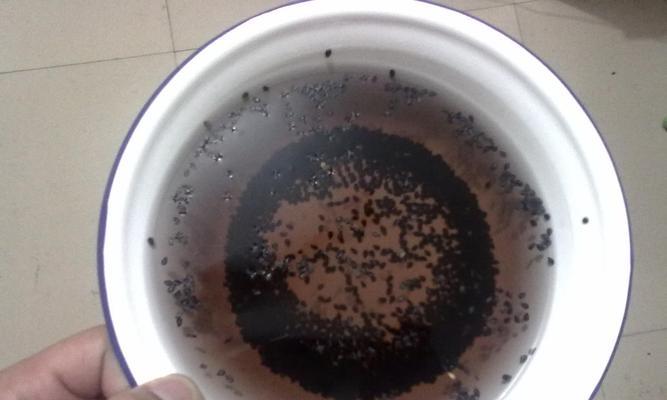 白芝麻的营养与食用方式（了解白芝麻的营养价值和正确食用方法，让你更健康！）