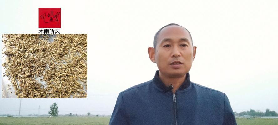 胡萝卜播种时间的选择（影响胡萝卜播种时间的因素及注意事项）