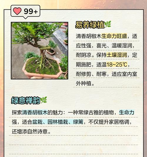 清香木种子播种方法（如何成功种植清香木）