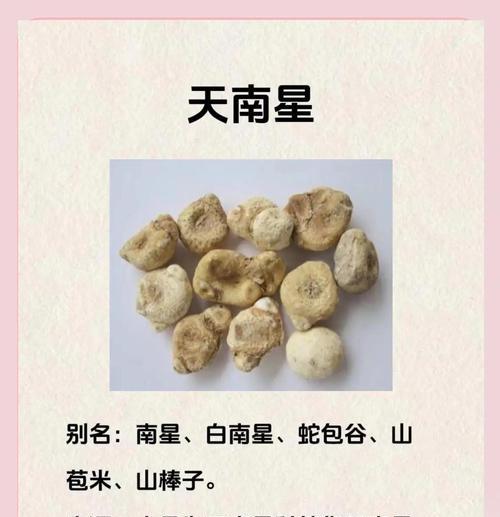 天南星果实的毒性（认识天南星，避免误食）