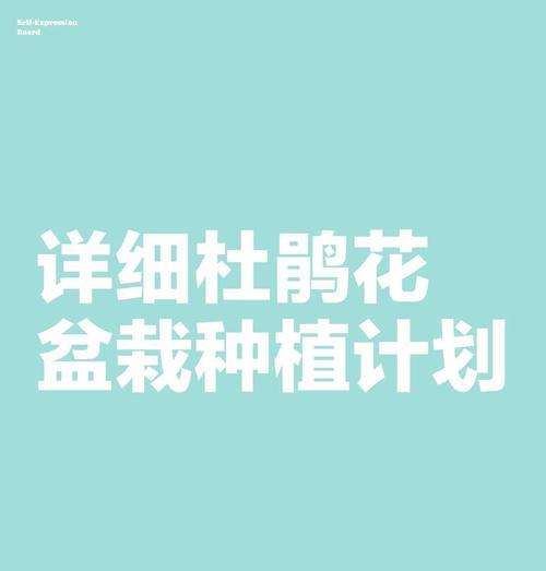 杜鹃花的种植养殖与栽培方法（打造美丽花园，杜鹃是不可少的！）