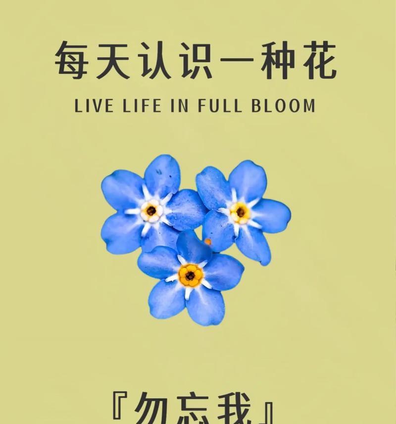 勿忘我种子发芽时间长短与成长环境的关系（探究勿忘我种子发芽时间的因素及其在实际种植中的应用）