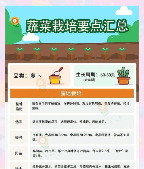 东北大萝卜种植全攻略（最佳种植时间、技巧和注意事项）