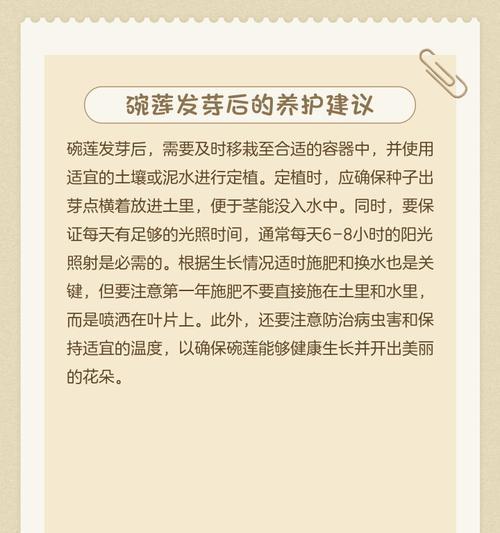 如何避免碗莲叶子干枯——寻找养护方法的关键（从水质、光照、温度等方面入手，打造优美莲池）