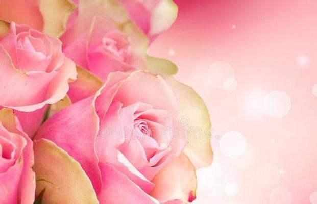离婚怎么送花？合适的花束让你表达心意（送什么花合适？15种花束选择帮你化解尴尬）
