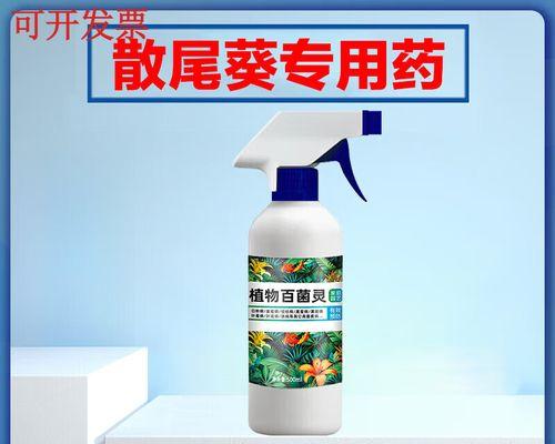 如何处理凤尾竹黄叶（让你的凤尾竹重新焕发青春，让黄叶成为过去式）