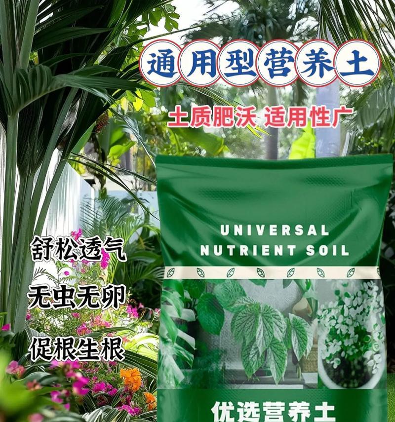 红砖渣拌营养土，适合种植多肉（用红砖渣制作的营养土，为多肉植物提供充足营养和水分）