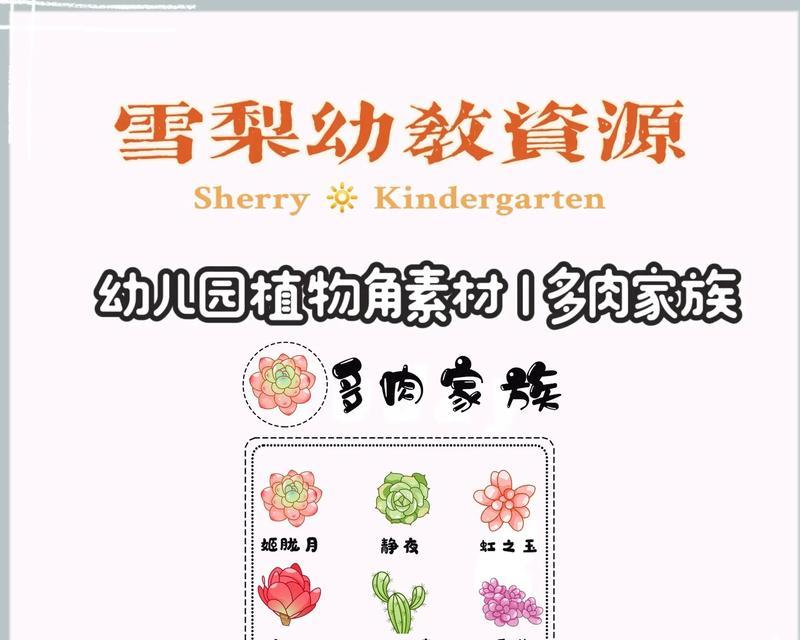 幼儿园适合种什么植物？（为孩子打造自然成长的环境）