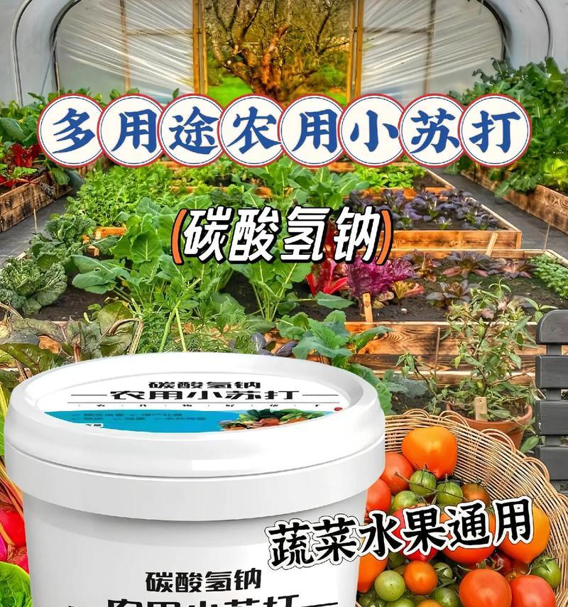 小苏打能否用来浇花？（了解小苏打的作用和使用方法，让您的花园更健康！）