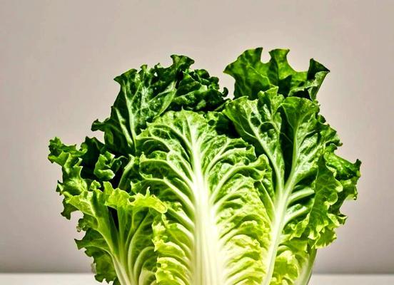 生菜的选择技巧（如何挑选最好吃的生菜）