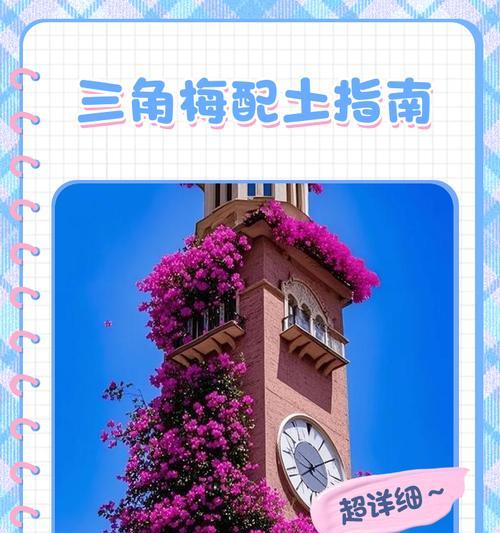 三角梅换土的时间与方法（注意事项及关键步骤）