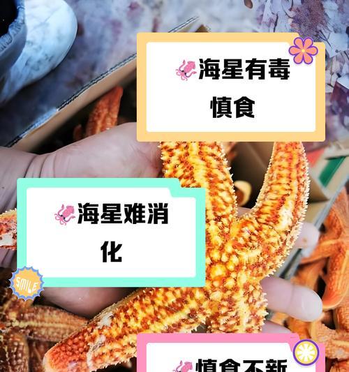 海星花的养殖与毒性研究（可否放置室内？养殖技巧详解）