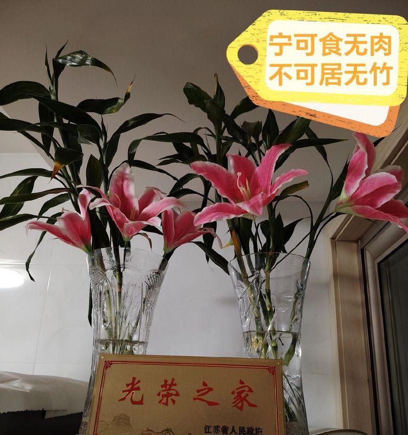 三叶梅花开时间及花期分析（春季花海中的三叶梅）