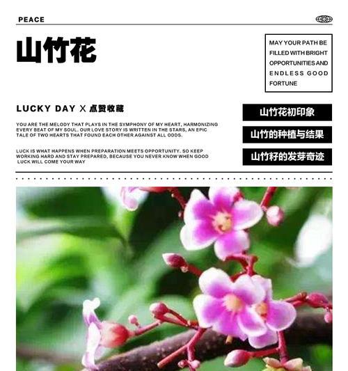 山竹种植条件与区域温度要求（了解山竹的适宜种植条件，打造高产果园）