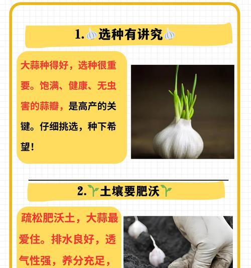 大蒜种植之水的管理（春夏秋冬，不同季节的浇水技巧）