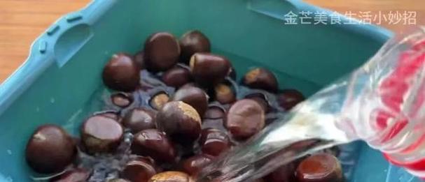 如何去壳生板栗？（一步步教你如何轻松去掉板栗硬壳）