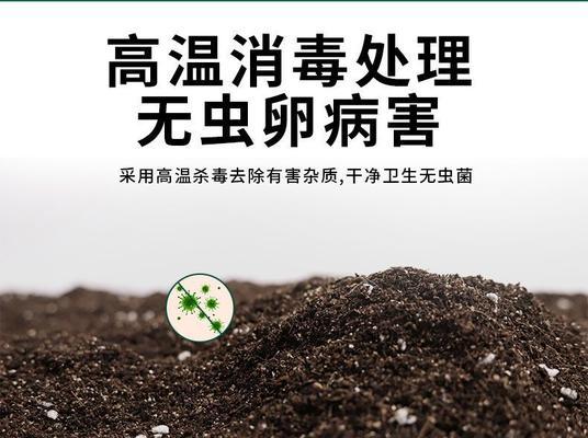 文竹肥料的选择和使用方法（如何选购适合文竹的肥料，使其茁壮成长）