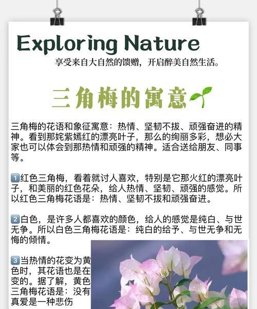三叶梅的开花周期（解密三叶梅的花期特点与护理技巧）