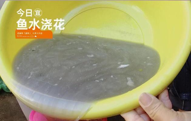 洗澡水浇花可以吗？（洗澡水的用途与注意事项。）