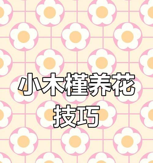小木槿冬季浇水技巧（养护小窍门，让小木槿健康度过冬季）