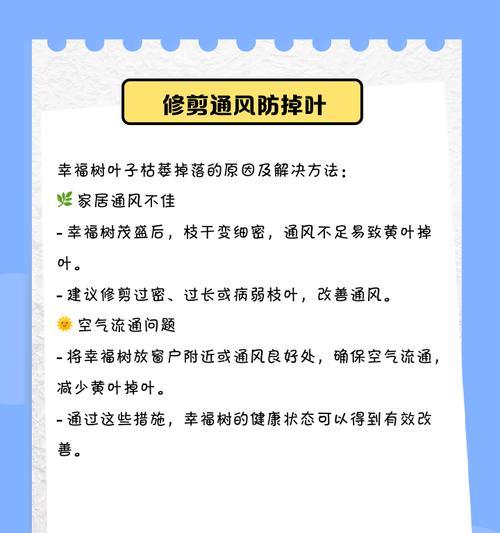 幸福树叶子干枯原因及补救方法（揭秘幸福树养护误区，教你如何让幸福树长盛不衰）