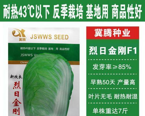 小白菜对低温的耐受程度及生长适宜温度研究（了解小白菜的冷耐性，提高冬季生产效益）