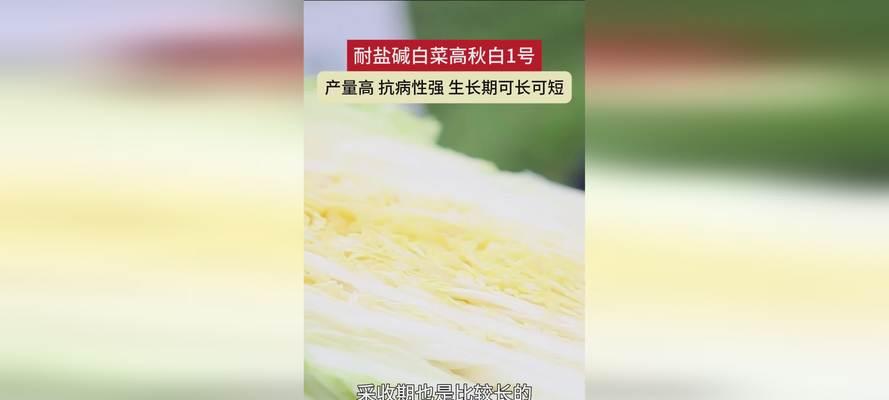 小白菜对低温的耐受程度及生长适宜温度研究（了解小白菜的冷耐性，提高冬季生产效益）