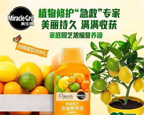 磷酸二氢钾浇发财树的神奇效果（用磷酸二氢钾让您的财运飞升）