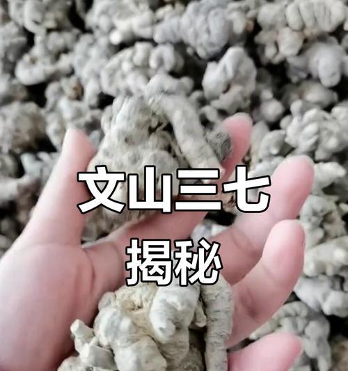 三七生长环境及生长地方条件（探究三七的生存要求，解析适合种植的地理环境）