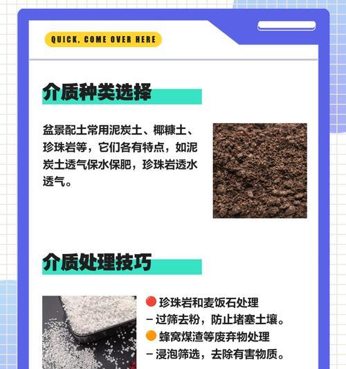枫树配土方法与种植土壤（掌握关键步骤，打造繁茂枫林）