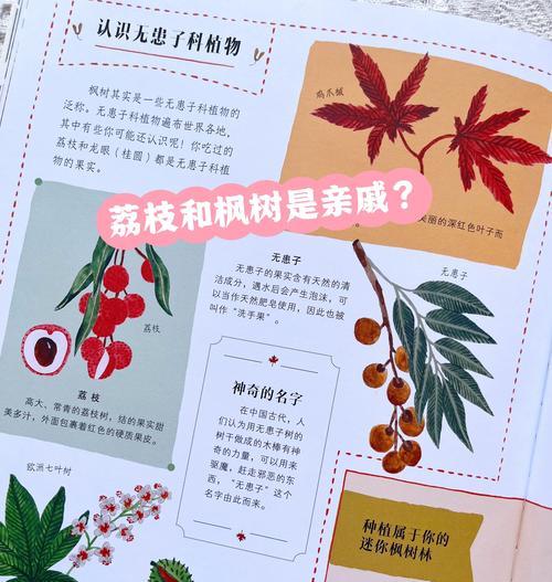 枫树配土方法与种植土壤（掌握关键步骤，打造繁茂枫林）