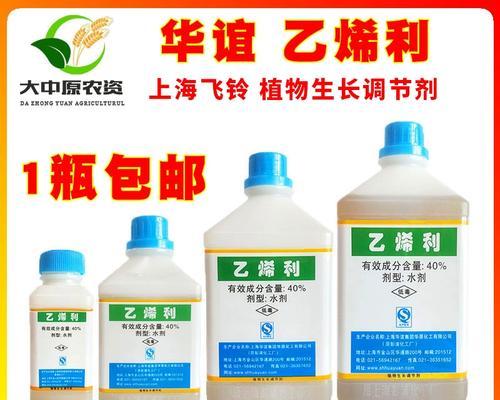 中药治疗有关柿子的症状——打什么药好？（了解中药治疗的秘密，从根源治疗有关柿子的症状）