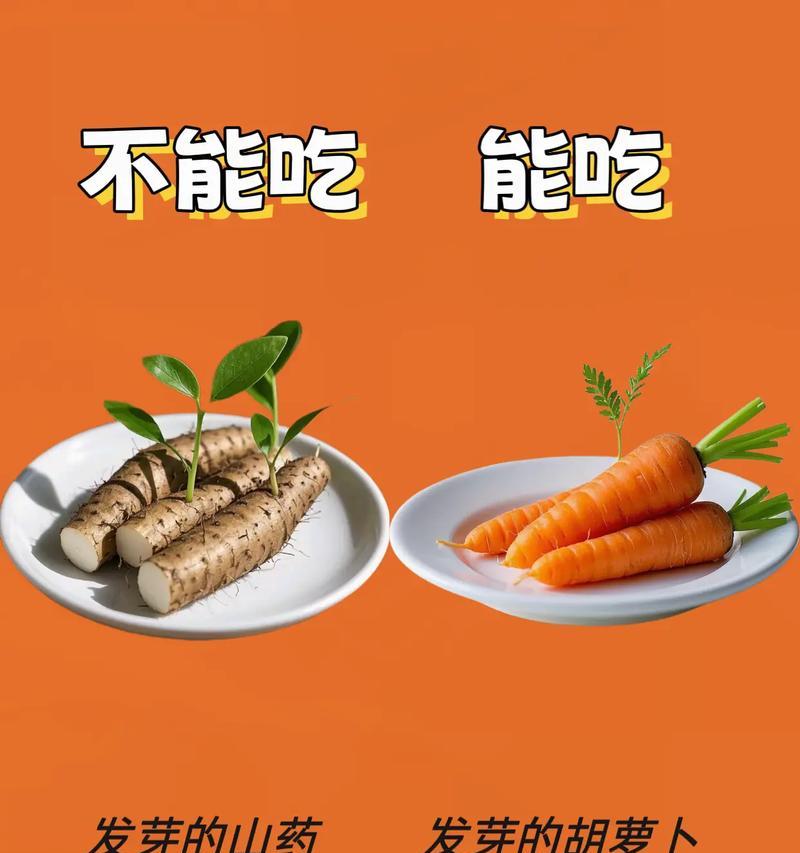 胡萝卜种子的催芽方法（掌握浸泡和催芽步骤，轻松育苗）