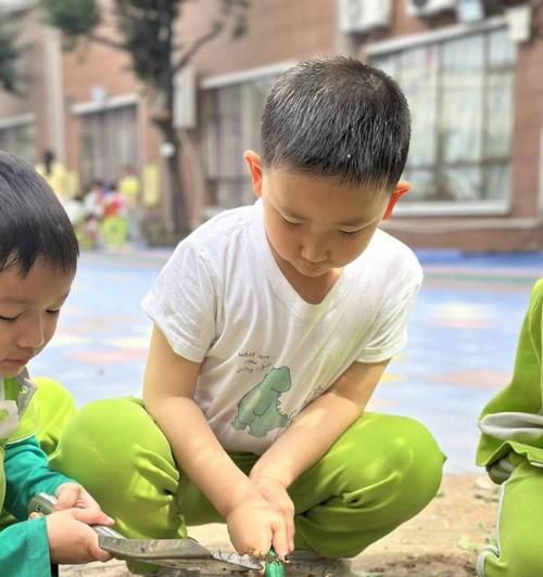 胡萝卜种子的催芽方法（掌握浸泡和催芽步骤，轻松育苗）